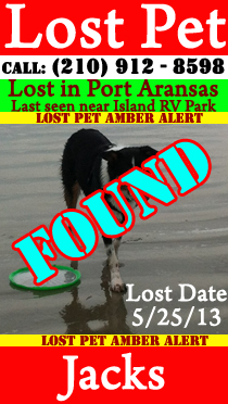Lost Dog in Port Aransas.  Oggie Lost 3-19-13